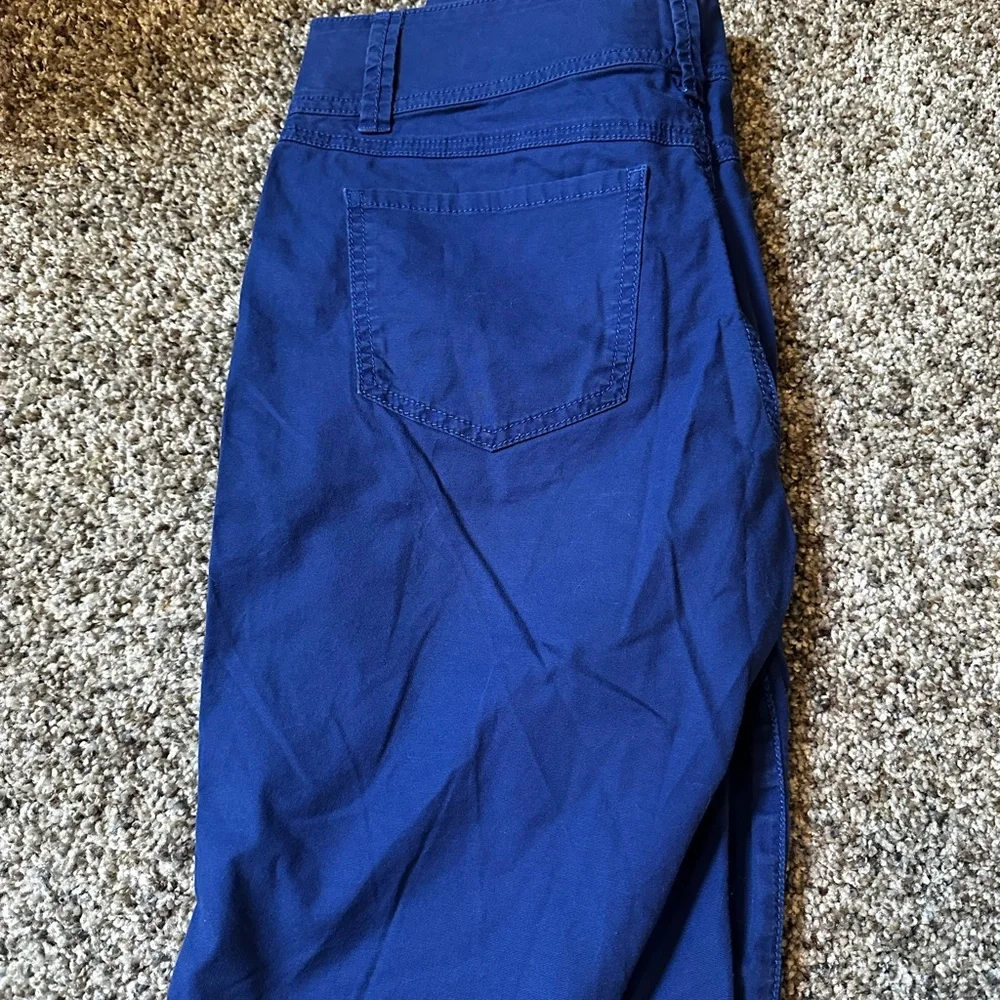 CAbi Blue and white shorts, size 8 - Picture 6 of 10